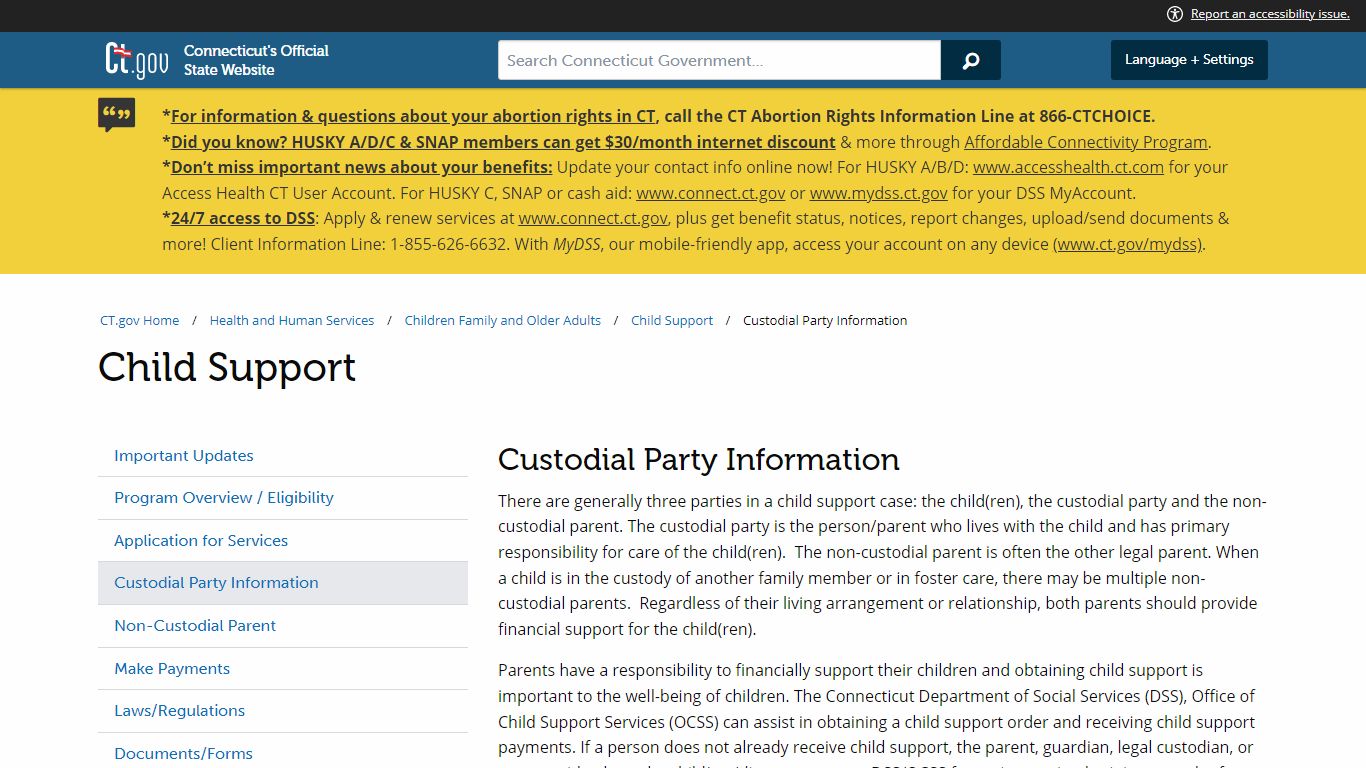 Child Support--Custodial Party Information - ct